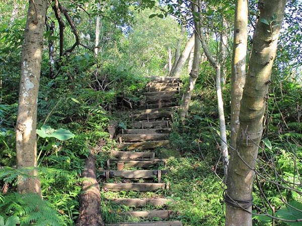 旧枕木铺满园林的照片